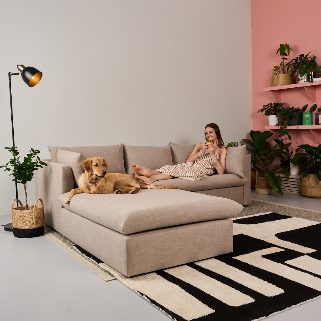 What Is the Best Sofa Fabric for Homes With Dogs and Cats?