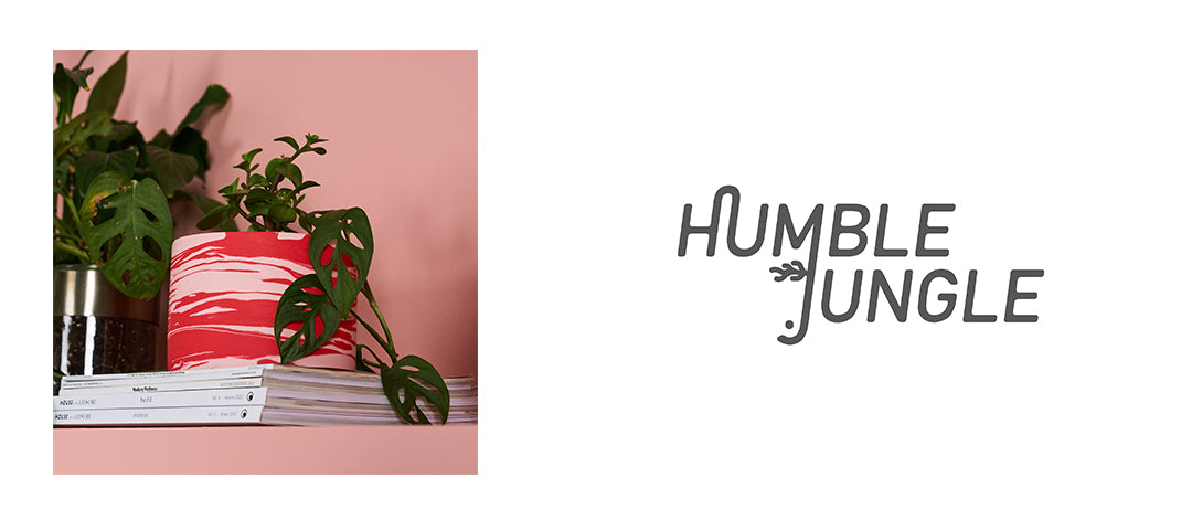 Our friend: Humble Jungle