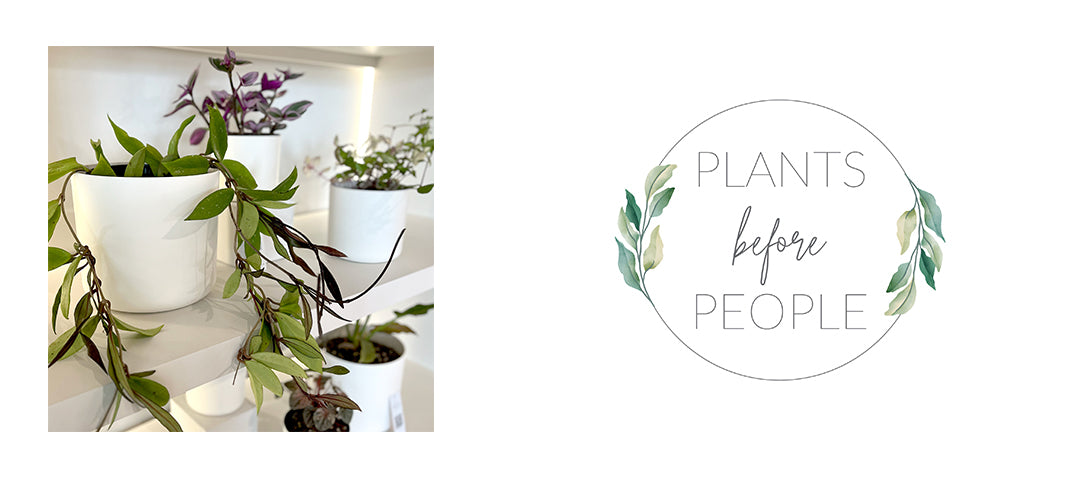 Our friend: Plants before People